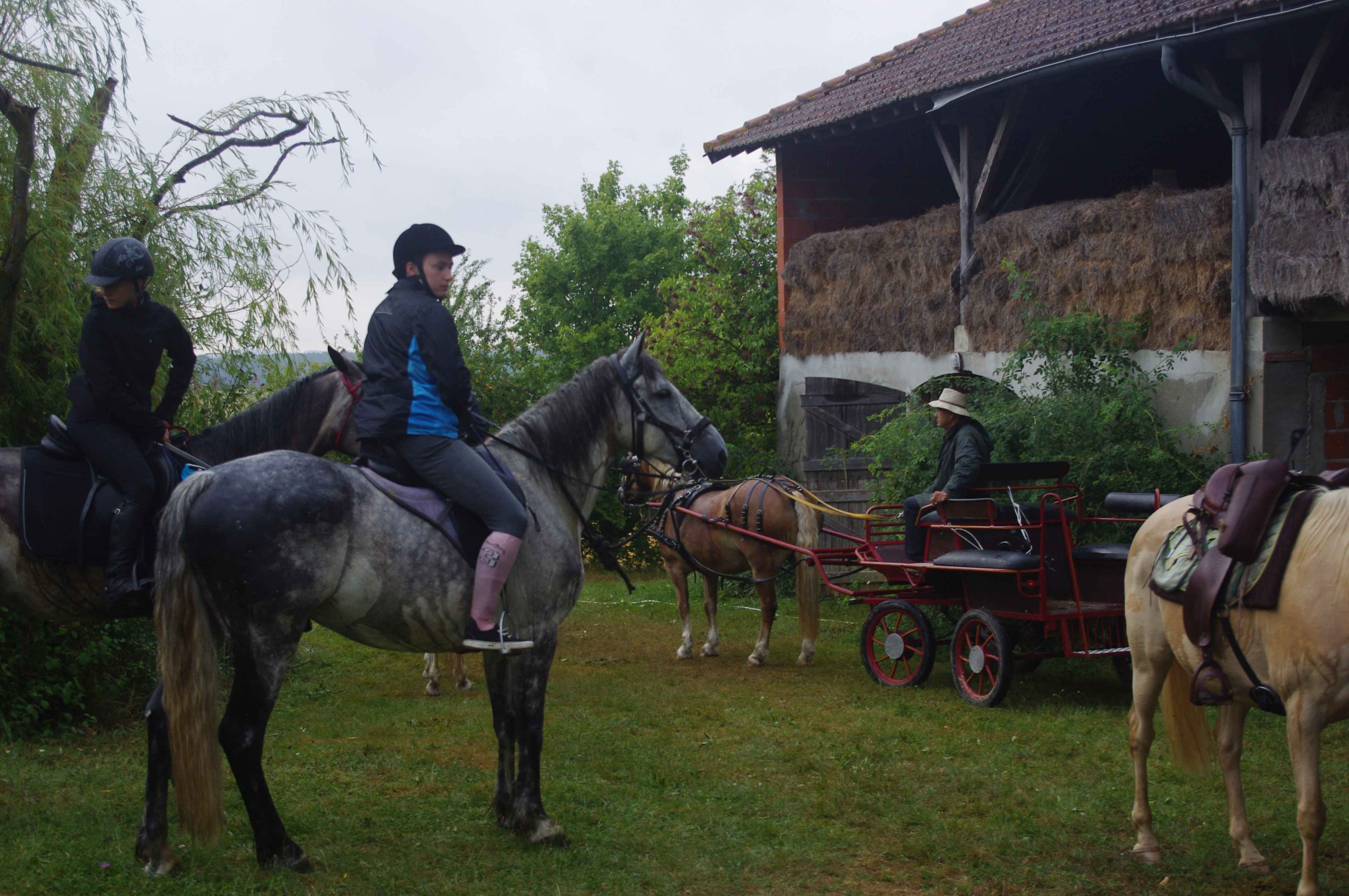 Stables
